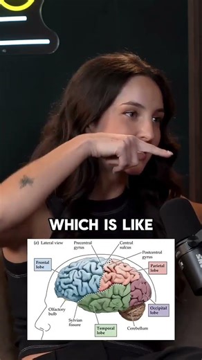 INTERESTING: MRI scans reveal what meditation does to your brain #trending #fyp #meditation #shorts