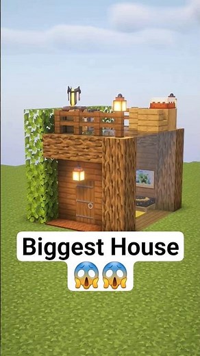 This Spruce Starter House Is All You Need in Survival