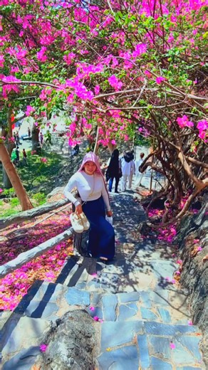 Video của thanh truc (@truc51982) với bản nhạc âm thanh gốc - thanh truc