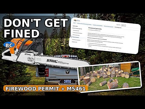 Cutting Firewood in BC