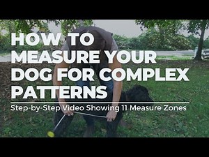 🐕‍🦺How to Measure Your Dog for DIY Dog Patterns 🐕‍🦺