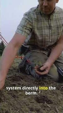 Swales Alone Fail: The Agroforestry Science That Makes Water Harvesting Work