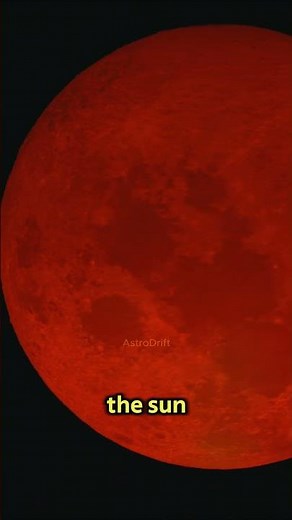 What Does a Solar Eclipse Look Like on Each Planet?