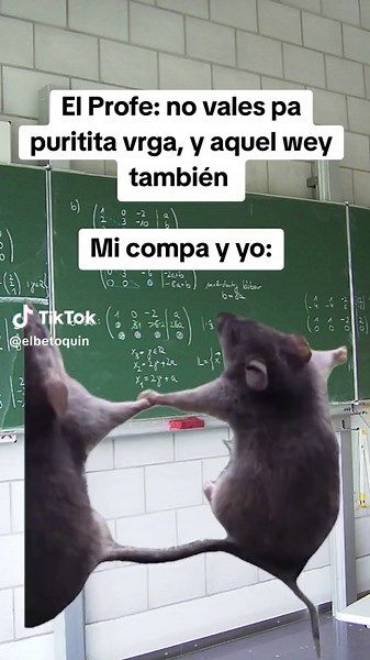 mi compa y yo #Meme #MemeCut #CapCut #paratiiiiiiiiiiiiiiiiiiiiiiiiiiiiiii