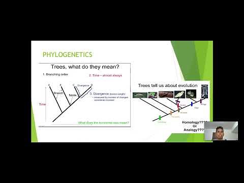 Final Exam Review Video BIOL 1010