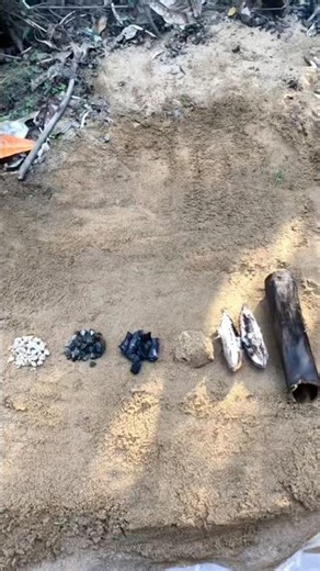 Primitive Water Filter Experiment in the Jungle #forest #survivalskills #nature#primitivetechnology