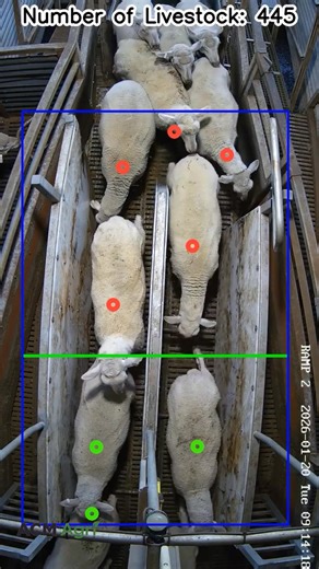 How artificial intelligence is transforming one of ag's oldest problems. Find out how: https://www.farmweekly.com.au/story/9158275/?utm_source=Instagram&utm_medium=Reel | Farm Weekly