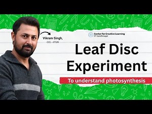 Leaf Disc Experiment to Understand Photosynthesis | Center for Creative Learning IIT Gandhinagar
