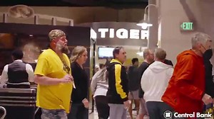 1.2K views · 30 reactions | lights are on. | Mizzou Men's Basketball | Facebook