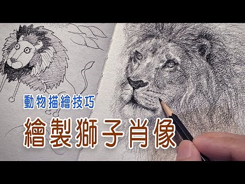 【動物描繪技巧】如何繪製獅子肖像 ｜繪畫分享班-上課實錄