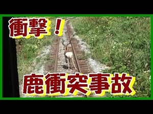 【閲覧注意】列車との衝突事故