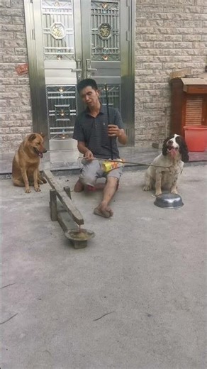 We're The Happy Band, Here's A Song Called "Pigsy Carrying His Bride" For You All! 😂