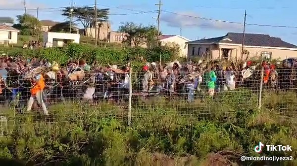 Zulu Traditional Songs and Dances: A Cultural Journey