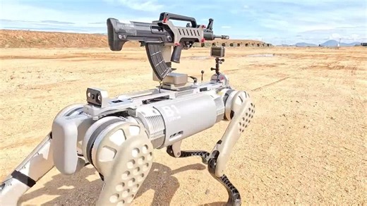 China readies ‘robot wolves’ to swarm Taiwanese beaches