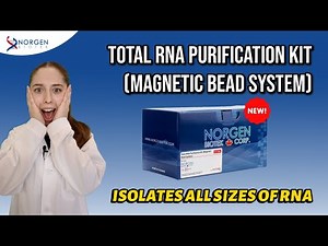 Automated RNA Extraction in 15 Minutes? Meet Norgen’s New Kit! 🔥