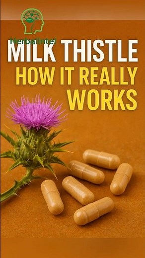 The Truth Behind Milk Thistle: How It Supports Your Liver