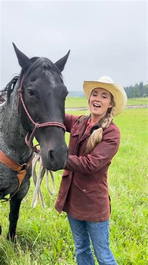 Heartland oCBC #1d ago Let's meet some of the Heartland horses Watch the newest season of Heartland on @CBC Gem #Heartland #cbcnews #HeartlandSeason19 #heartlandseason18 #nathanprycejr #nathanprvceir #amyfleming | Heartland Fans