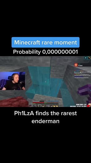 Rare Minecraft Enderman Encounter and Health Stats