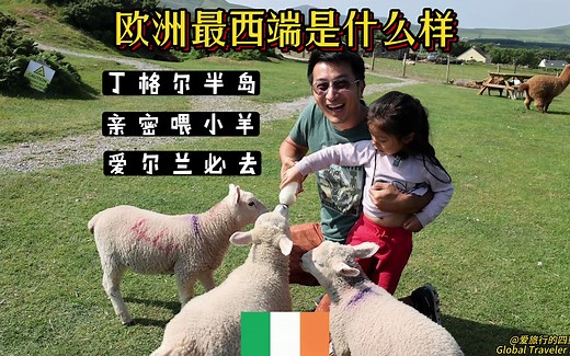 欧亚大陆最西端尽头什么样？｜丁格尔半岛｜亲密喂小羊｜爱尔兰必去