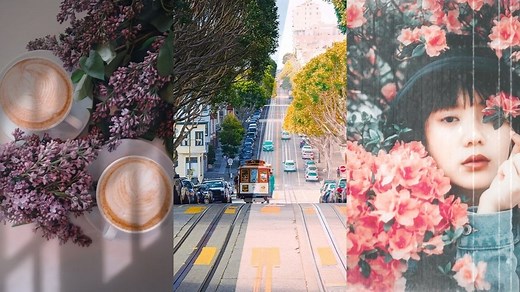 想要美照又不想慢慢調色？懶人必備 5 款質感濾鏡 App 推薦