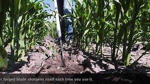 10K views · 18 reactions | We're making the swan neck or half moon hoe for over 90 years in our factory. The all time winner of weeding tools. | DeWit Garden Tools | Facebook