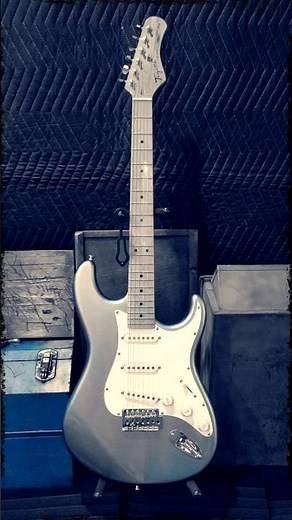 Tagima 530 Electric Guitar S Type TW Series