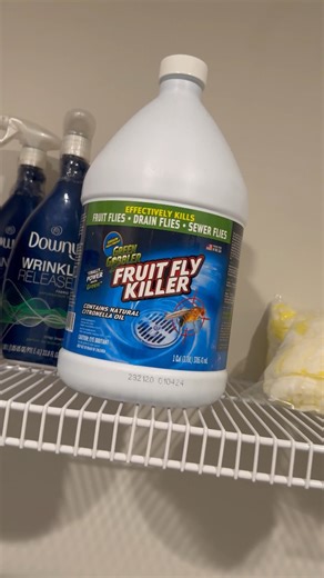 Watch Instantly kills drain flies! on Amazon Live