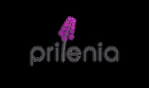 What is Huntington's Disease (HD)?