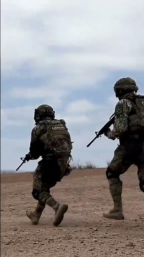 Ejercito y Fuerza Aérea Mexicanos