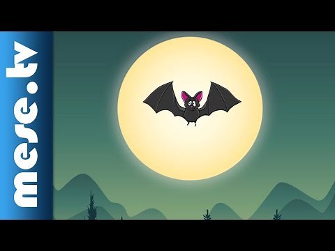 Drazsé Zenekar - Denevér (gyerekdal) | MESE TV