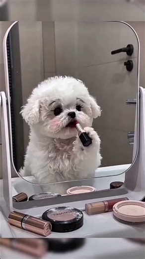 Cute puppy doing makeup #shortsvideo #pets