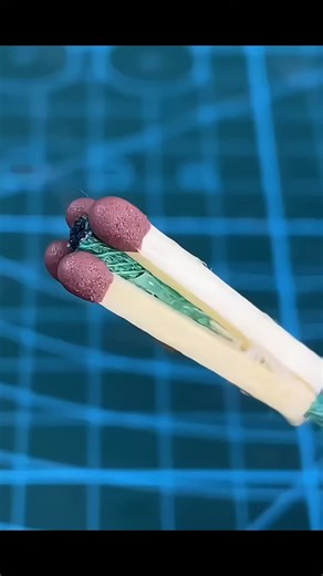 Mind-Blowing Life Hacks to Try!