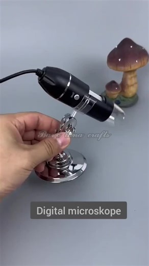 Fungsi dan Manfaat Mikroskop Digital untuk Berbagai Keperluan