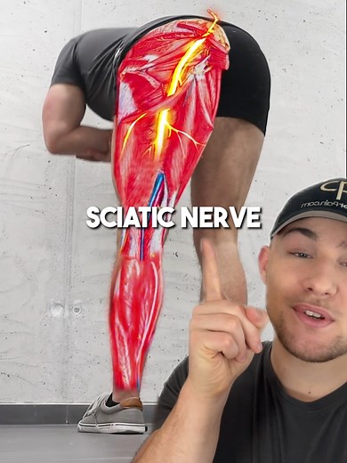Understanding Sciatica: Causes and Relief Techniques