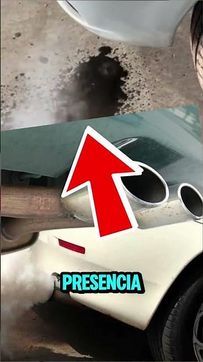 Why is white smoke coming from the exhaust? #cars #engines #mechanics