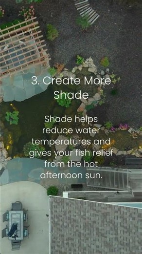 How To Keep Your Fish Safe During A Heatwave☀️🐟