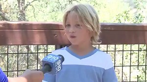 Cat wanders into zoo's bear exhibit and this happened