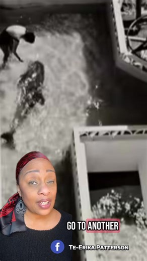 42K views · 671 reactions | Margaret Lovatt fell in love with a dolphin named Peter and refused to leave his side while she was training him. After their experiment ended, Peter was devastated and drowned himself. | Te-Erika Patterson | Facebook