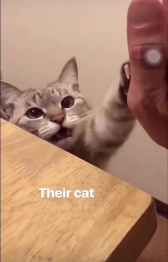 BadParentingMoments on TikTok