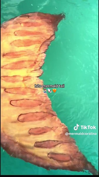 Explore the Magic of H2O Mermaid Tails