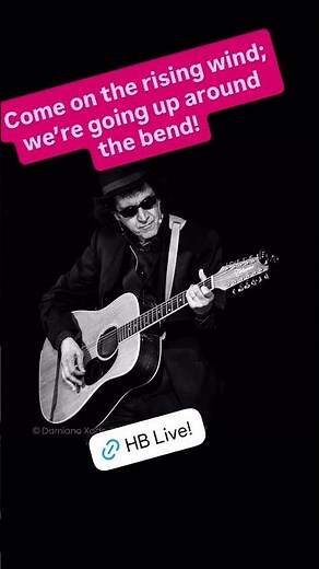 Up Around The Bend - Creedence Clearwater Revival (Tribute Band Live)