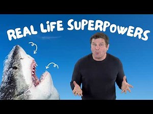 The Science of Survival | Animal Adaptations for Kids