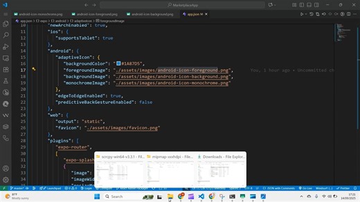 Expo启动画面与应用图标设置教程：React Native与Expo实战指南