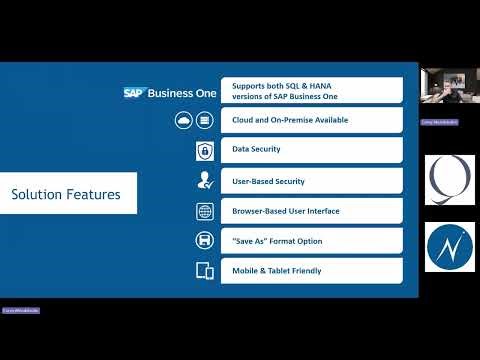 Seeing Your Data Clearly: SAP Business One Reporting with NewIntelligence