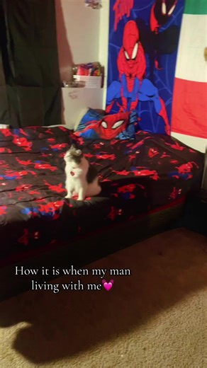 Living Together as a Couple: Room Decor Essentials