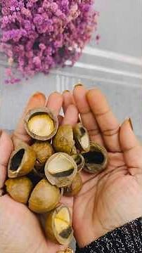 Don’t Throw away these Shells|DIY- Rich look Wall decor from Waste| Waste recycling with Nawal #diy