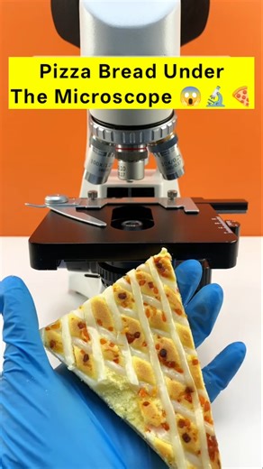 पिज्जा Under The Microscope 😱🔬 #shorts #facts #microscope #1million