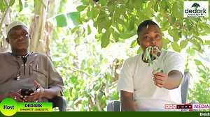 🔥Benefits of Leaf of Life : HOW TO USE THIS LEAF (....) TO CURE ... | Dedark TV