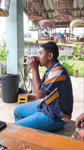 เสียงเล็กเพชรอานันต์มาแล้วครับ #เลียนแบบเสียงนกเขาชวา #เพชรอานันต์อัฟนัน #เมืองหลวงนกเขาชวาเสียง #เปิดการมองเห็นคลิปเรียล | Anib Omega Farm