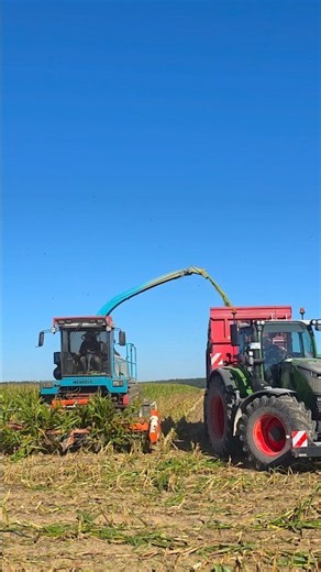 Mengele Maissilage mit Fendt 720🌽🚜